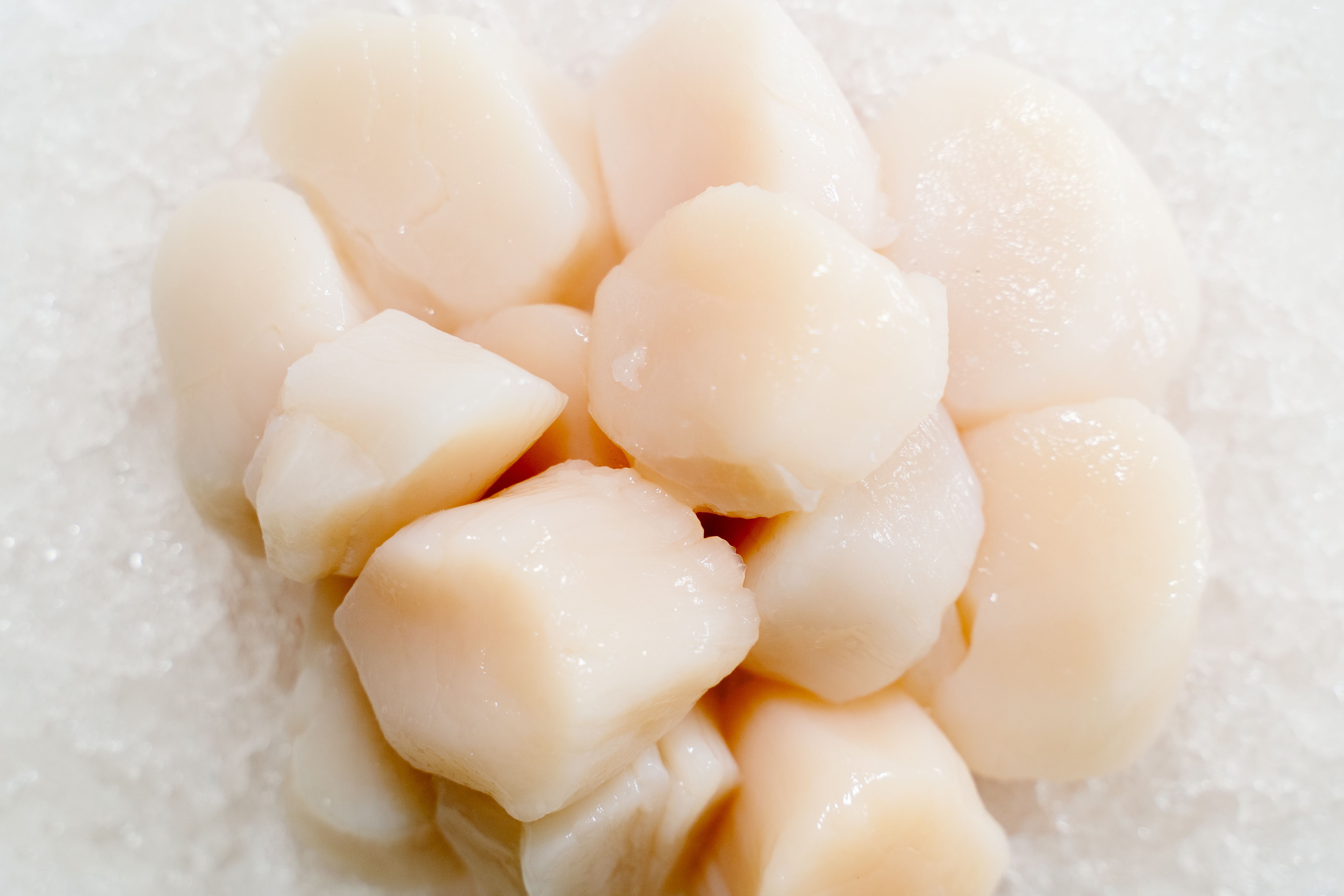 Fresh raw scallops ready to cook